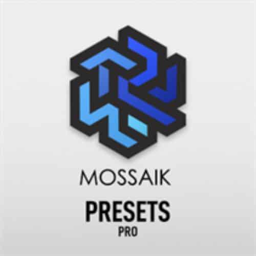 برنامج Mossaik Presets Pro  لإنشاء لوحات موزاييك صورية فريدة