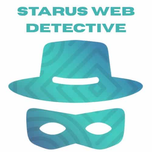 برنامج Starus Web Detective  استعادة وتحليل بيانات تصفح الإنترنت المحذوفة