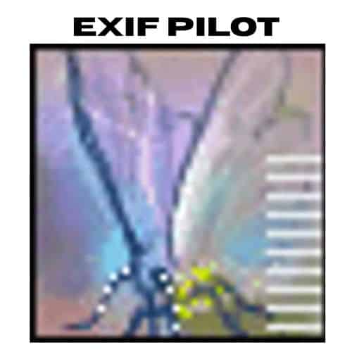 برنامج Exif Pilot إداره الميتا داتا