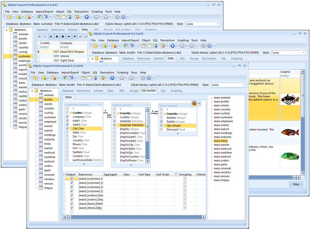 تحميل برنامج SQLite Expert Professional كامل | دليلك لإدارة قواعد ...