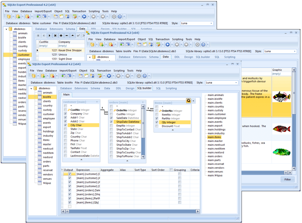 تحميل برنامج SQLite Expert Professional كامل دليلك لإدارة قواعد البيانات باحترافية